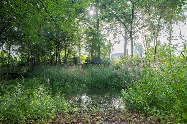 Medium property photo - Bosschenhoofdsestraat 6A, 4744 RP Bosschenhoofd